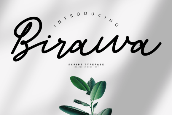 Birawa: A Playful Script Font for Creative Makers