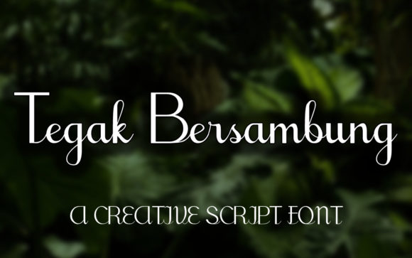 Tegak Bersambung Font for Elegant Creative Campaigns